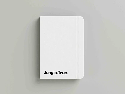 true 03