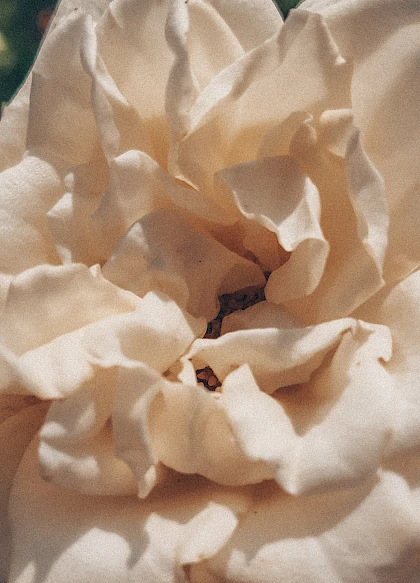 lesia svpy1m2svzy unsplash