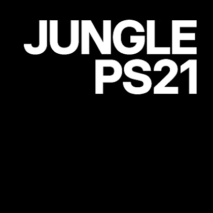jungle ps21 linkedin profile