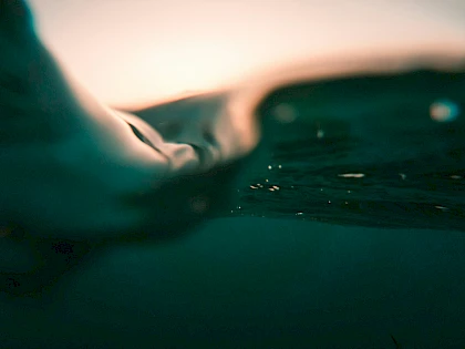 cristian palmer rr29p0ulqms unsplash