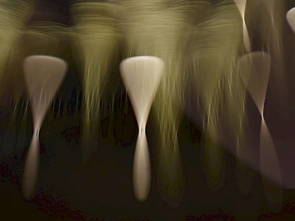 meagan carsience zbnuf853gv8 unsplash